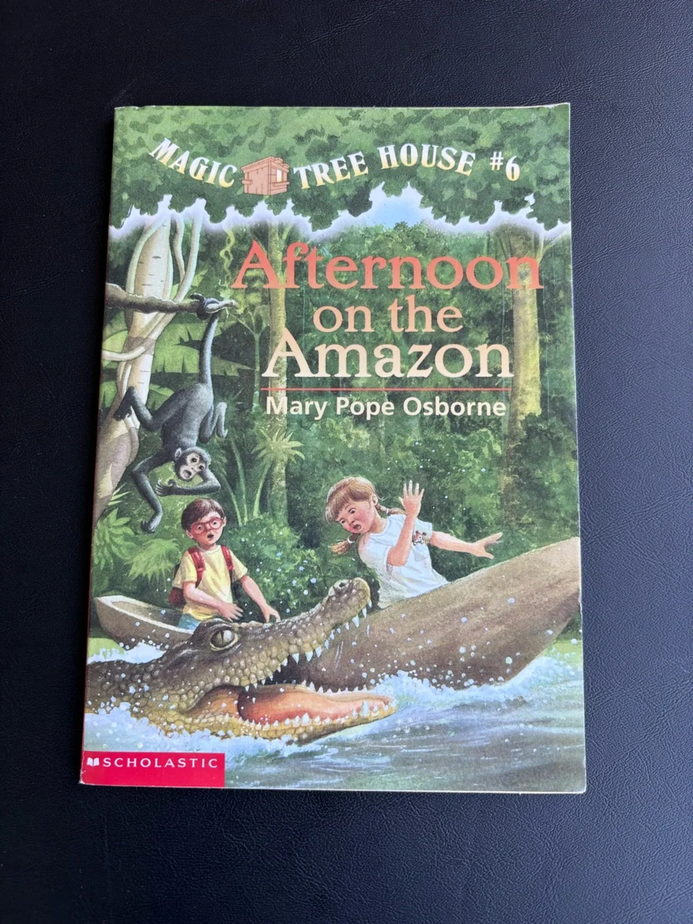 Magic Tree House Children's Books - Books #1 - #10